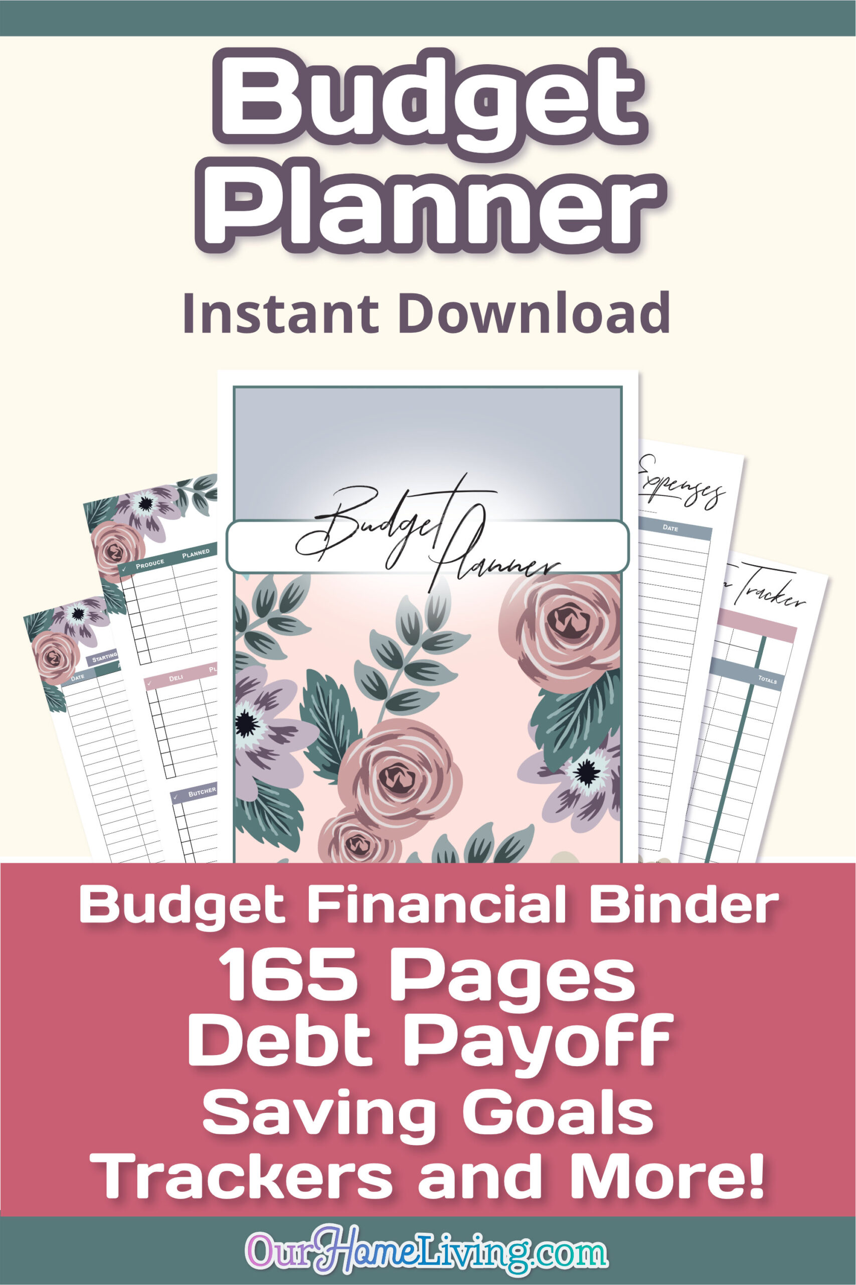 Budget Planner {160+ Pages} - Our Home Living